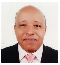 Board Member 4